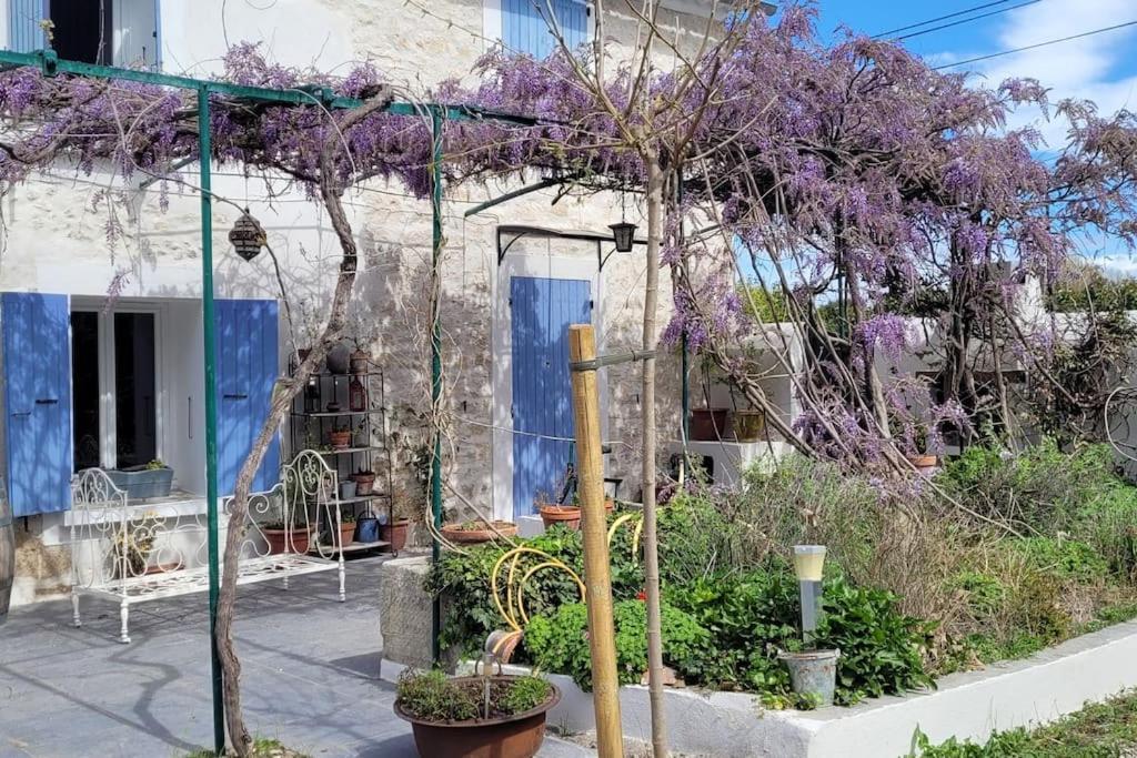 Location Appartement Dans Mas Provencal Monteux Εξωτερικό φωτογραφία