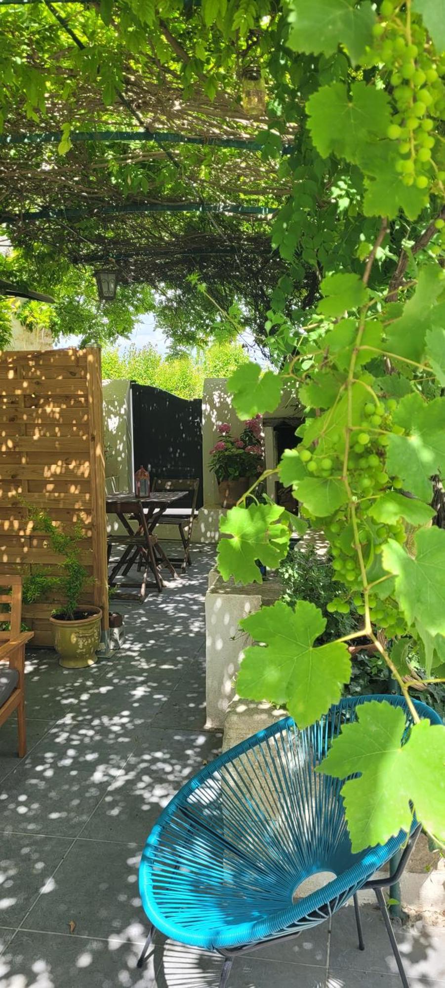 Location Appartement Dans Mas Provencal Monteux Εξωτερικό φωτογραφία